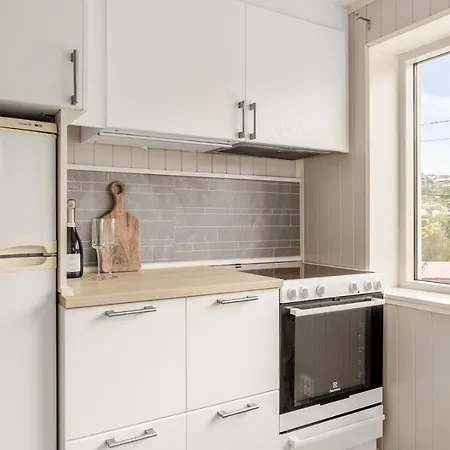 Apartment And Cozy In Laksevag *